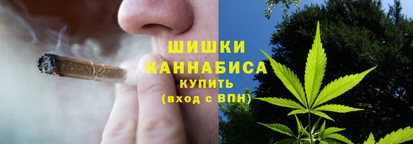 сатива Бугульма