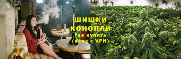 сатива Бугульма