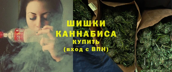 сатива Бугульма